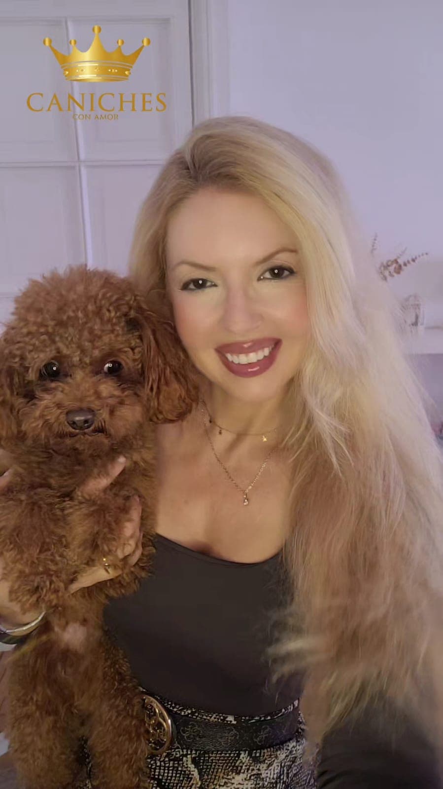 Elena - Asesora Experta en Caniches